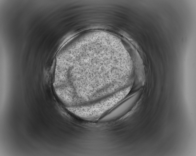 X0000083531369200703091503