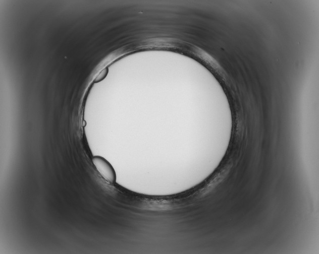 X0000083531370200703091503