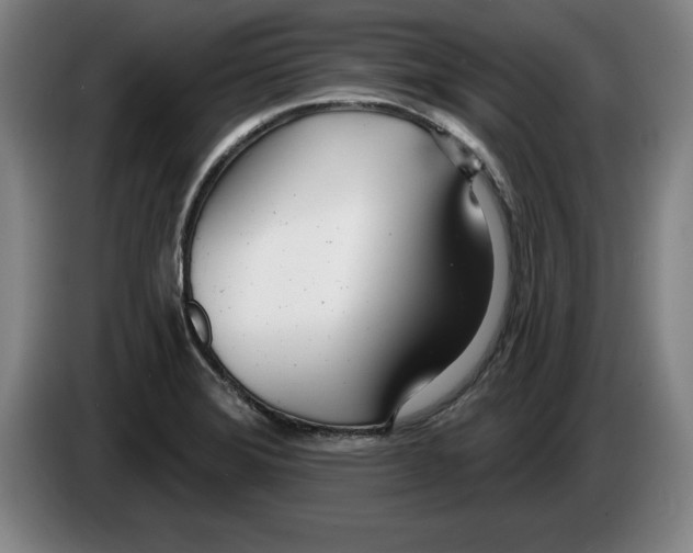 X0000083531372200703091503