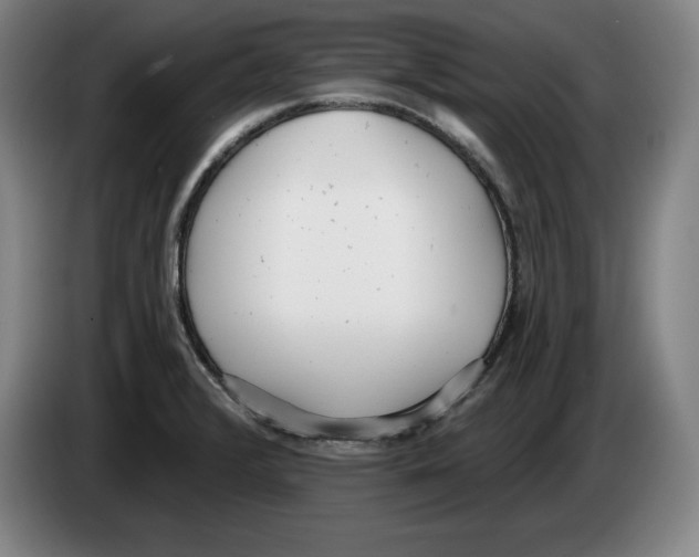 X0000083531376200703091503