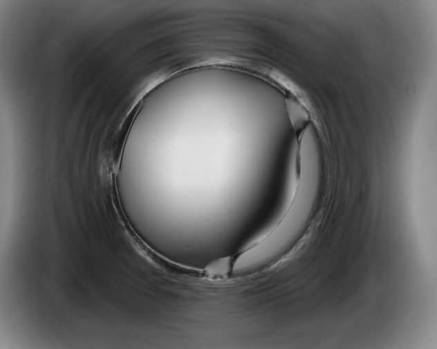 X0000083531377200703091503