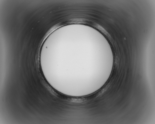 X0000083531378200703091503