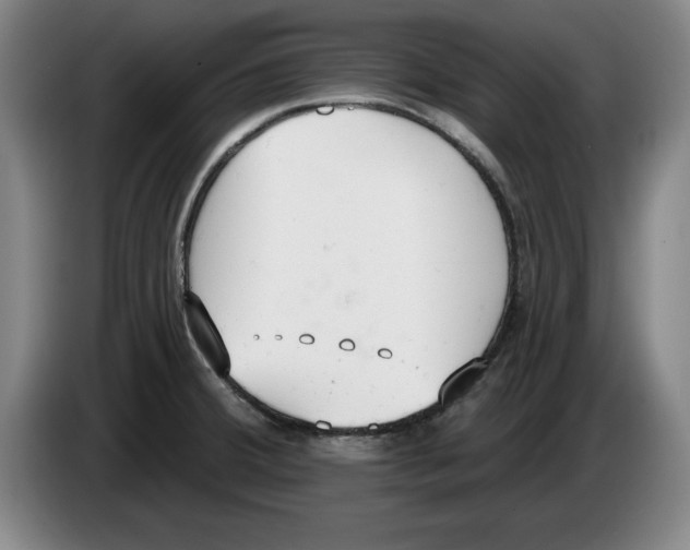 X0000083531380200703091503