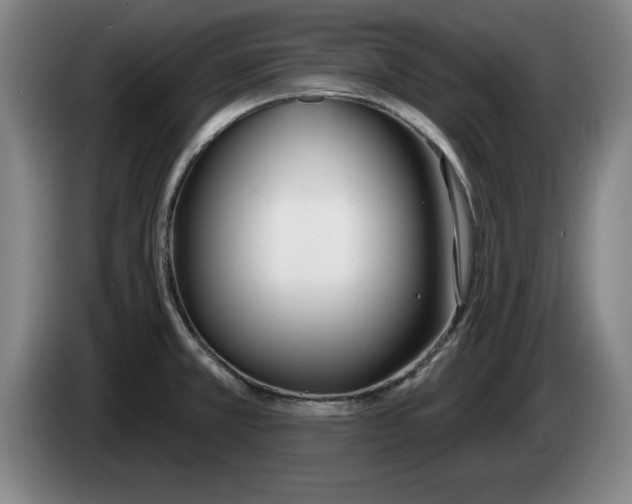 X0000083531381200703091503