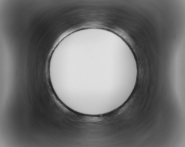 X0000083531382200703091503