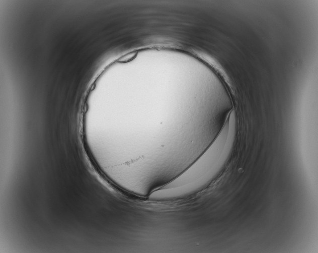 X0000083531383200703091503