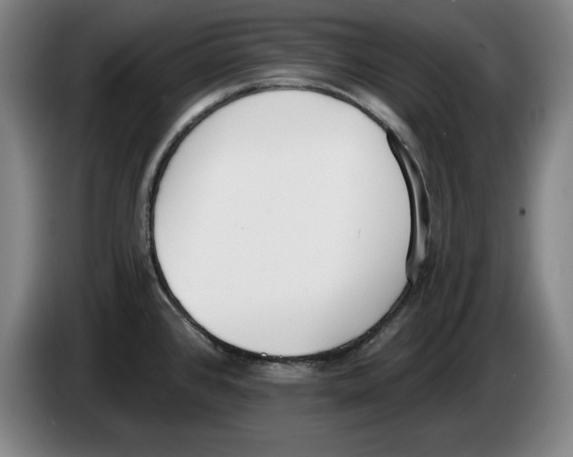 X0000083531384200703091503