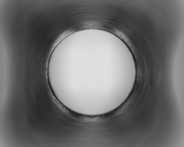 X0000083531386200703091503