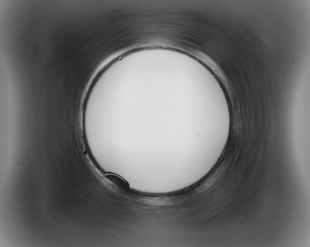 X0000083531388200703091503