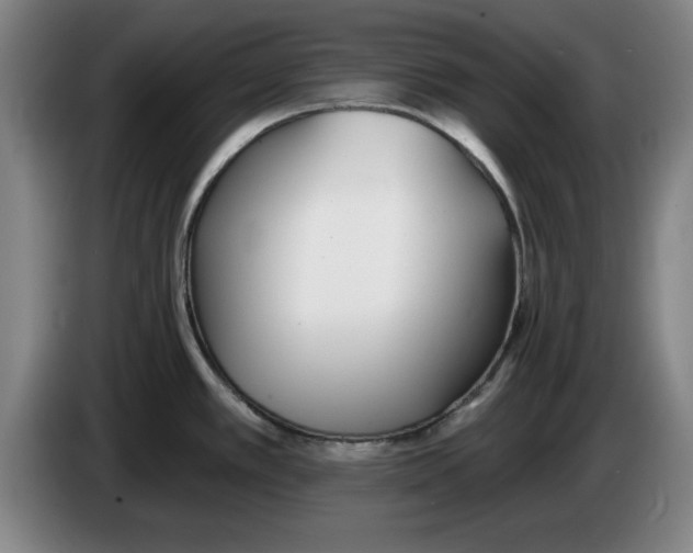 X0000083531389200703091503