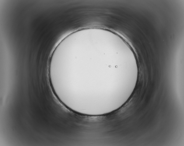 X0000083531390200703091503