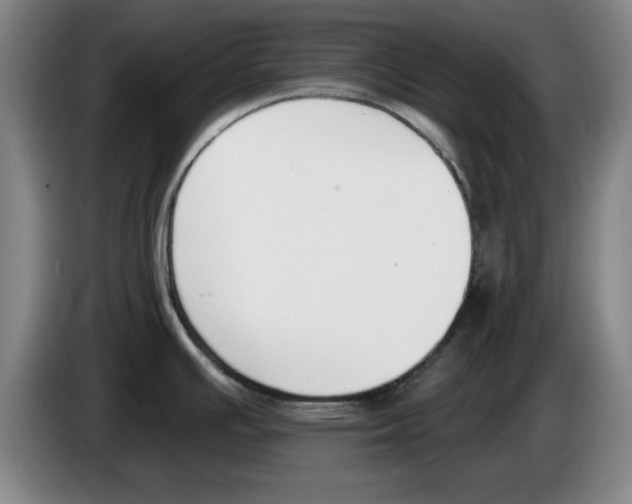 X0000083531391200703091503