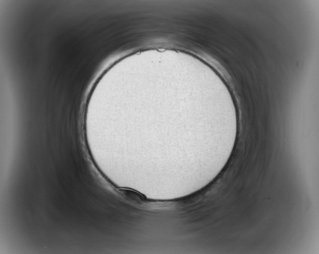 X0000083531392200703091503