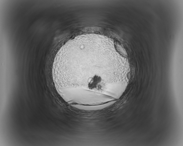 X0000083531393200703091502