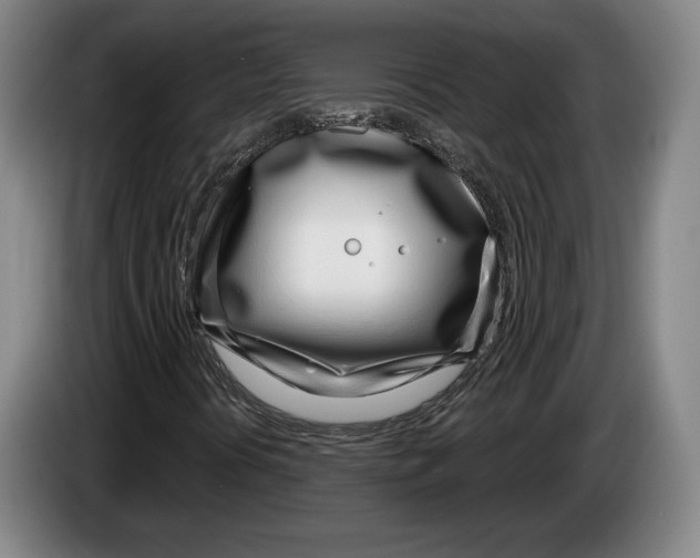 X0000083531394200703091502