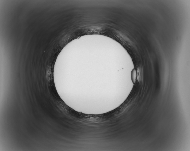 X0000083531395200703091502