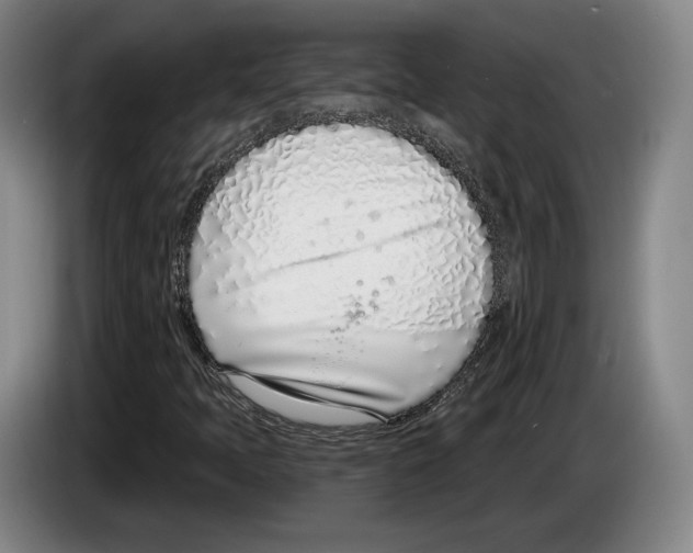 X0000083531397200703091502