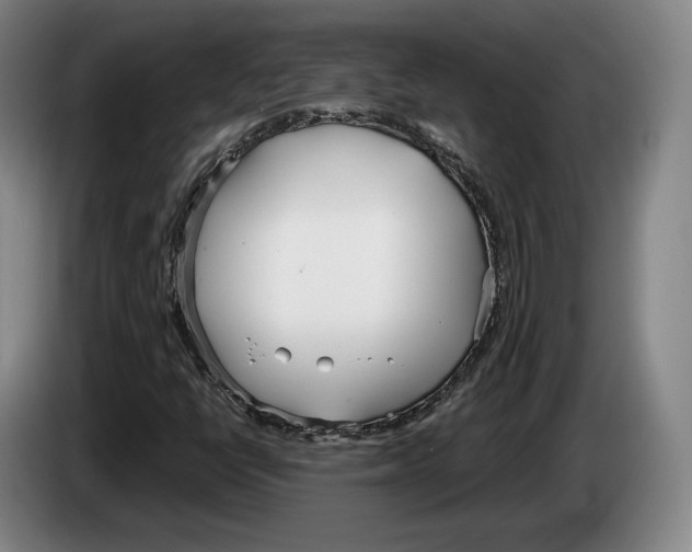 X0000083531398200703091502