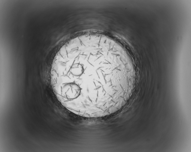 X0000083531399200703091502