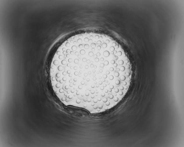 X0000083531400200703091502