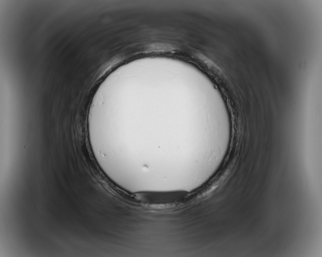 X0000083531401200703091502