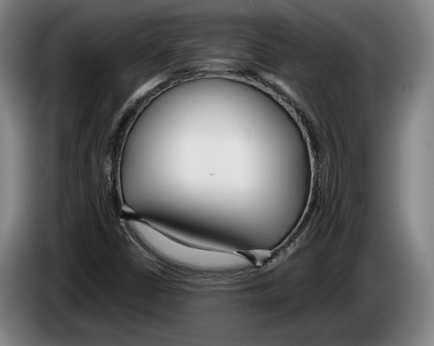 X0000083531402200703091502