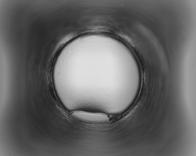 X0000083531405200703091502