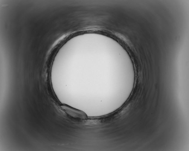 X0000083531406200703091502