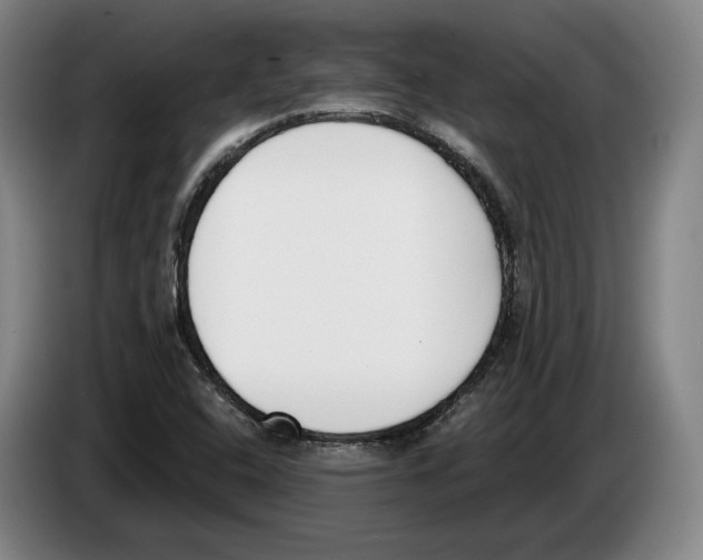 X0000083531408200703091502