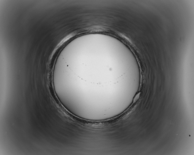 X0000083531410200703091502