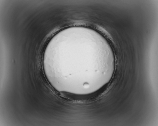 X0000083531411200703091502