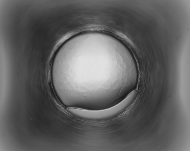 X0000083531413200703091502