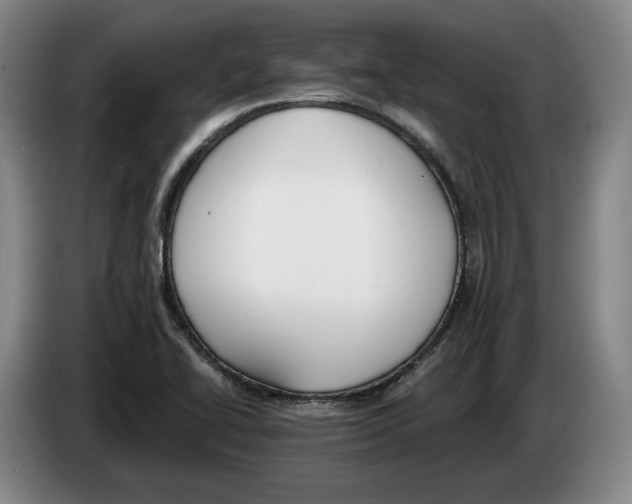 X0000083531414200703091502