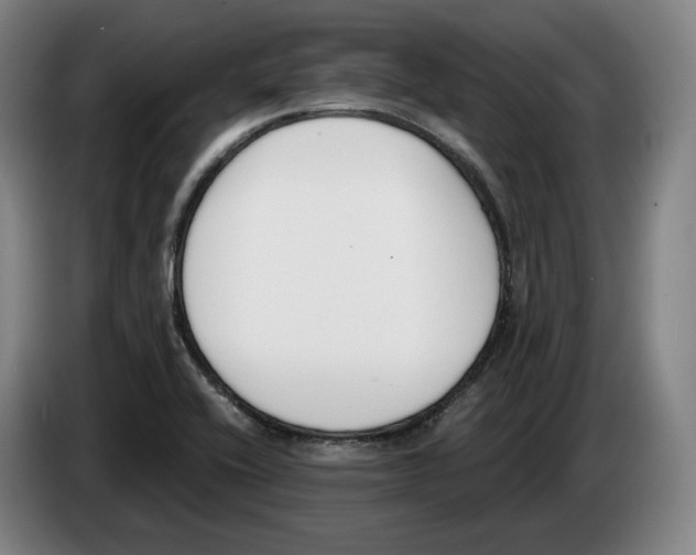 X0000083531416200703091502