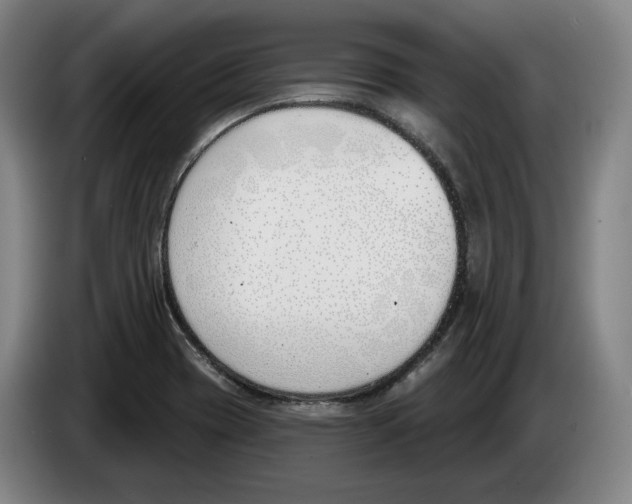 X0000083531417200703091502