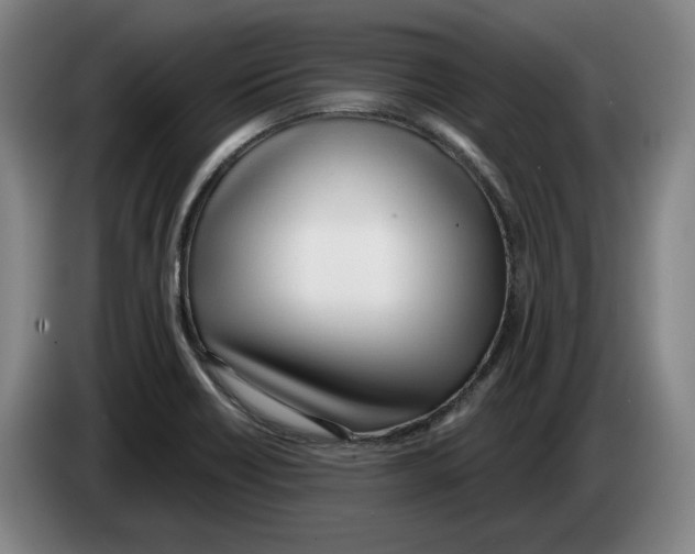 X0000083531418200703091502