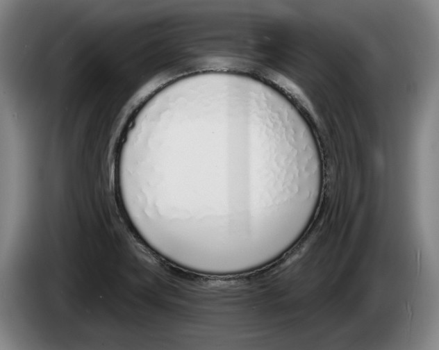 X0000083531419200703091502