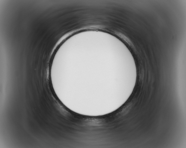 X0000083531420200703091502