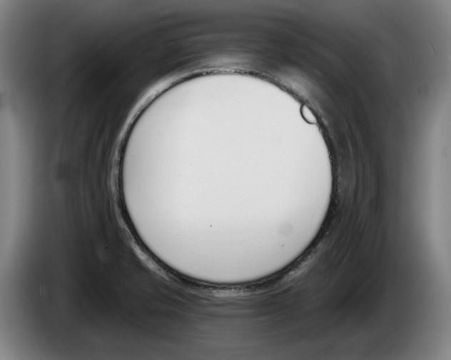 X0000083531421200703091502