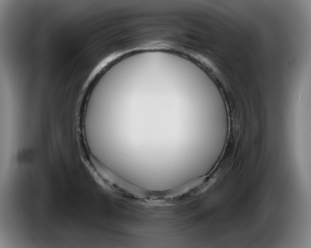 X0000083531422200703091502