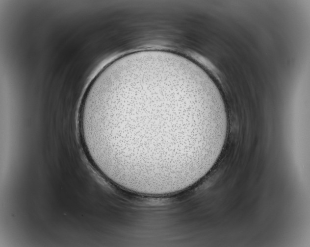 X0000083531423200703091502