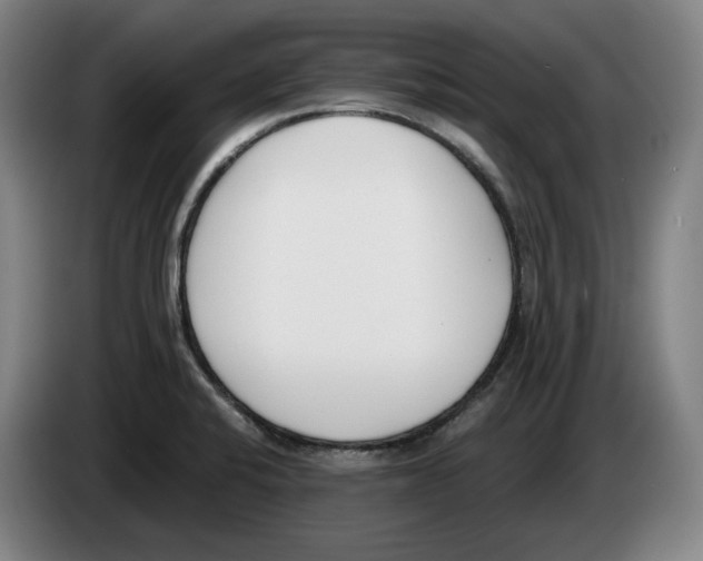 X0000083531424200703091502