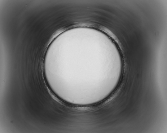 X0000083531425200703091502