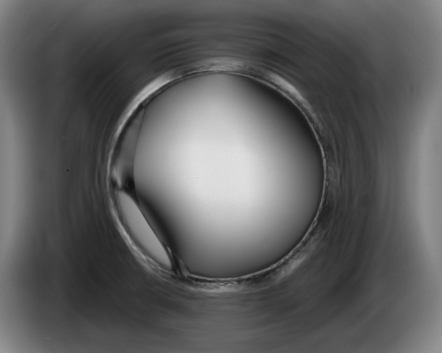 X0000083531426200703091502