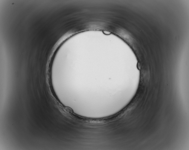 X0000083531427200703091502