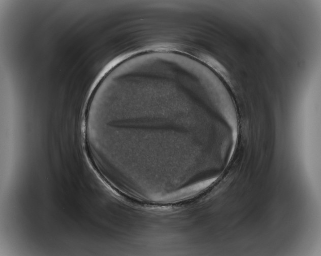 X0000083531428200703091502