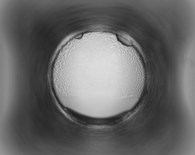 X0000083531429200703091502