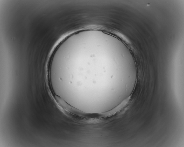 X0000083531430200703091502