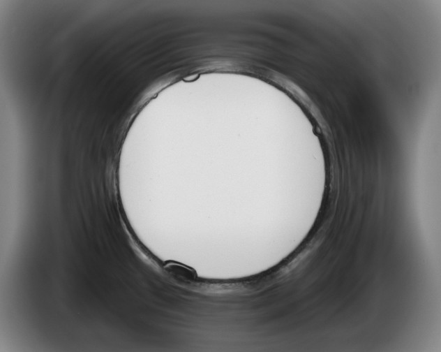 X0000083531433200703091503