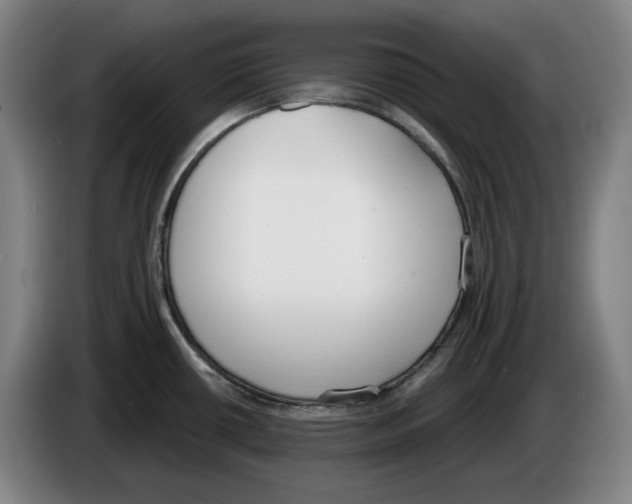 X0000083531434200703091503